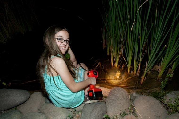 Bring your own light to the summer Flashlight Tours at the Desert Botanical Garden in Phoenix to discover what happens when the sun goes down.
